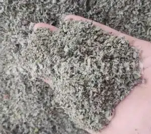 Buy dried Marjoram. Marjoram for sale. Bulk Marjoram. Marjoram seeds for sale. Dried leaves of wild Marjoram in bulk. Bulk Origanum majorana. Buy Marjoram Origanum majorana.