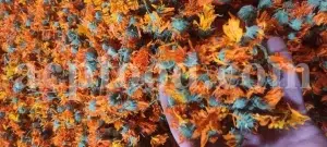 Buy Calendula. Calendula for sale. Bulk dried Calendula petals. Dried Marigold wholesale price. Calendula flowers dried bulk. Calendula officinalis price. Calendula officinalis orange king for sale.