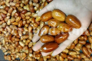 Russian Olives for sale. Elaeagnus angustifolia for sale. Buy Russian Olive. Buy Senjed. Bulk dried Oleaster for sale.