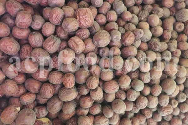 Ziziphus jujuba dried fruit displayed in bulk for international buyers