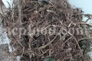 Nettle roots - New Stock Information and Price from ACPFOOD - May 2025