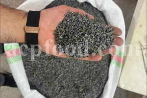 Lavender Blossom/Petal New Stock Information and Price from ACPFOOD - May 2025