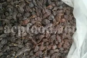 Currant - New Stock Information and Price from ACPFOOD - May 2025