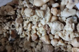 It is 2025 Gum Ammoniac Harvest Time - Best Price of Iranian White Dorema Premium Quality