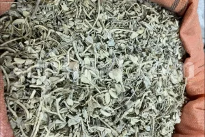 Stachys schtschegleevii dried herb New Stock Information and Price from ACPFOOD - May 2025