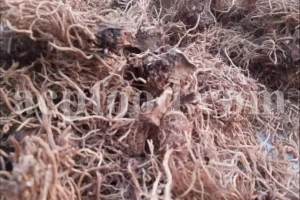 Valerian Root New Stock Information and Price from ACPFOOD - May 2025