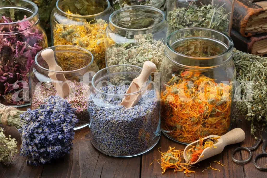 The Old Ways Still Work: What Folk Remedies Can Teach Us in a Modern World