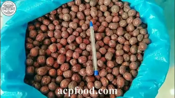 Dried Chinese red dates packed in bulk for wholesale buyers