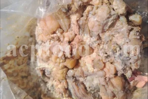Bitter Asafoetida Paste – Raw Gum Resin from Ferula assa-foetida L. in Bulk Export Packaging