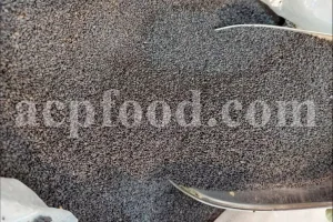 High-quality dried basil seeds (Ocimum basilicum L.) in bulk packaging for export use in herbal, food, and pharmaceutical industries.