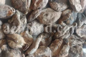 Bulk dried Colchicum speciosum bulbs harvested in Iran, prepared for pharmaceutical and traditional medicine industries.