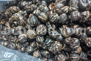Dried Black Lime (Limoo Omani) – whole fermented limes used in Middle Eastern cuisine and herbal remedies, shown in bulk packaging for export.
