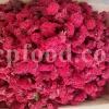 New Stock Pomegranate Flower Wholesale Price