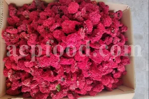 New Stock Pomegranate Flower Wholesale Price