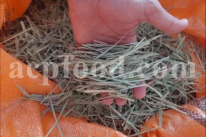 Clean, sun-dried Lemon Grass leaves (Cymbopogon citratus) prepared for bulk export in culinary, medicinal, and cosmetic industries.