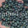 Bulk Wild Pistachio Seeds – Pistacia atlantica, khinjuk, terebinthus – Export Quality