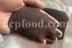 Plantain Seeds (Plantago major L.) – Premium Bulk Export Supply