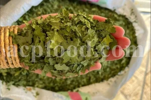Bulk dried coriander leaves (cilantro) – Coriandrum sativum L., vibrant green and finely processed for export