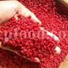 Dried barberry berries – Popular Medicinal Herbs in the UK for culinary and herbal use