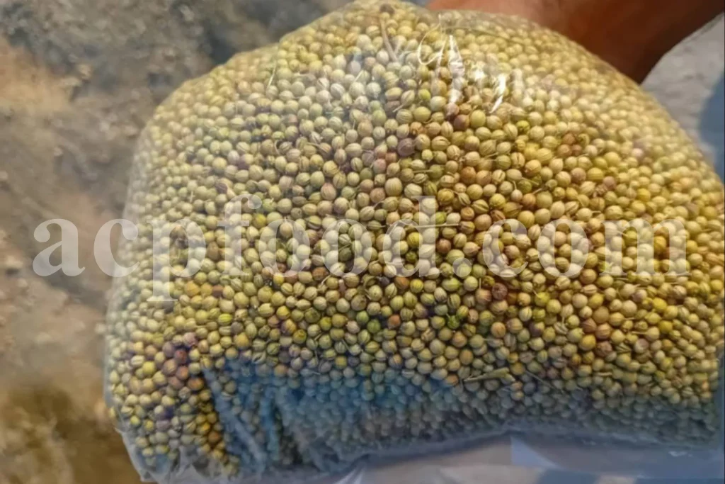 Fenugreek seeds (Trigonella foenum-graecum L.) supplied in bulk for UK herbal, food, and nutraceutical industries