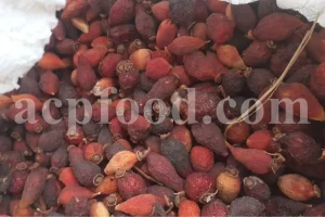 Bulk dried Rose Hips (Rosa canina L.) – wholesale export for food, pharma, nutraceutical, and cosmetic industries.