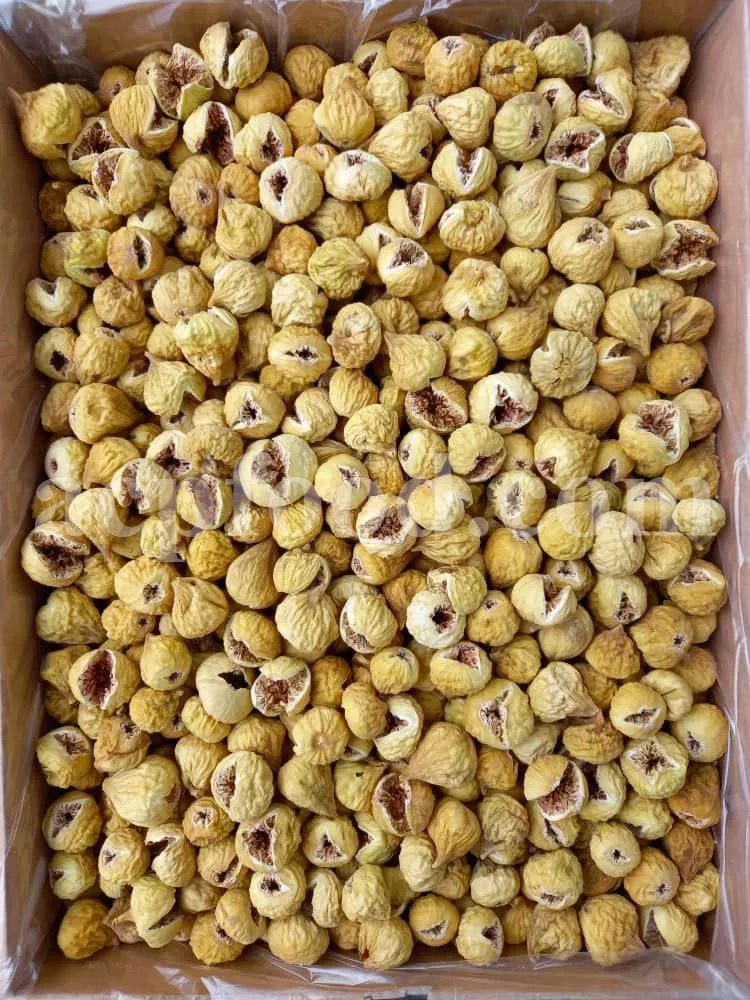 Dried figs (Ficus carica) – nutritious fruit and popular medicinal herb in the UK