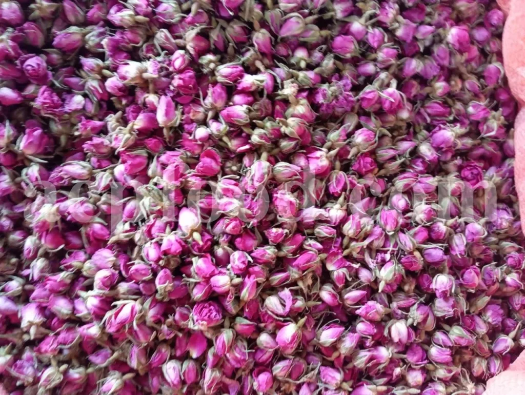 Dried rose buds (Rosa damascena Mill.) wholesale for UK herbal teas and cosmetics