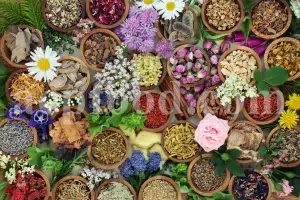Medicinal and aromatic herbs supplier UK providing bulk herbs and raw materials for B2B businesses