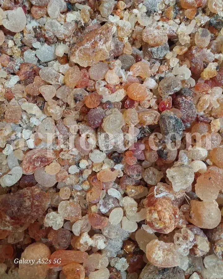 Natural Persian Gum exudate from Amygdalus scoparia used in food, pharmaceutical, and cosmetic industries.
