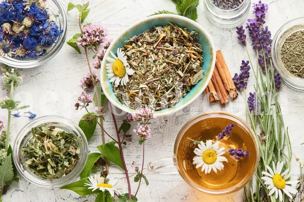 Popular medicinal herbs used in the UK for natural remedies and wellness products