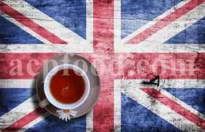Popular medicinal herbs in the UK wholesale guide for businesses – bulk supply of herbs, seeds, and resins