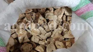 Premium Sumbul Root Muskroot Ferula moschata bulk supplier and exporter from Iran
