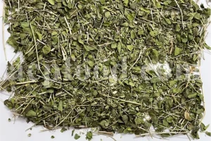 Bulk Zataria multiflora Shirazi thyme dried leaves wholesale supplier for export