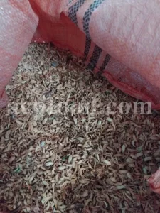 Bulk citrus flowers for manufacturing and industrial botanical processing