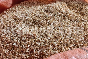 Wholesale dried orange blossoms export quality for herbal tea and beverage industries