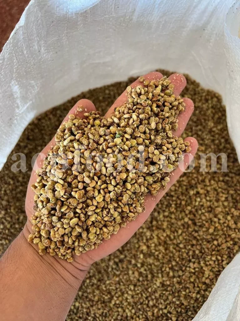 Brown Sumac powder for herbal formulations and natural extracts in the UK