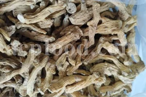 Premium dried root of Leiotulus secacul (Malabaila secacul), Arabian Hartwort root, wholesale export from Iran.