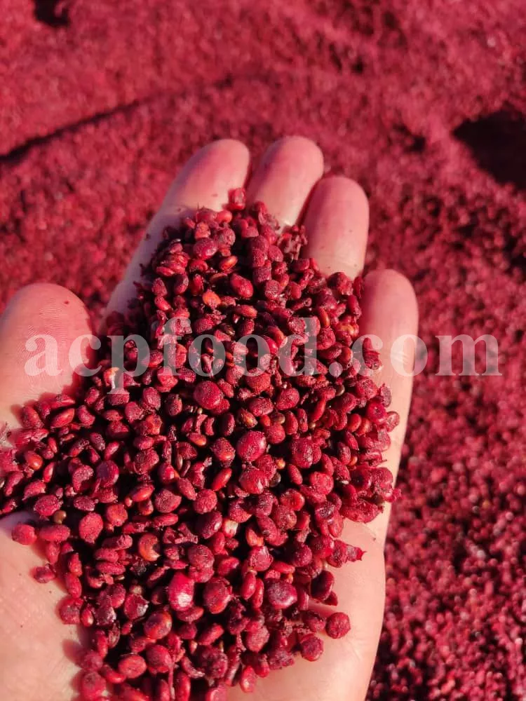 Red Sumac spice and dried berries – traditional and modern uses of medicinal herbs in the UK