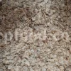 Ferula ammoniacum seeds for export